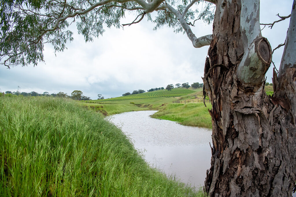 triple creek barossa valley
